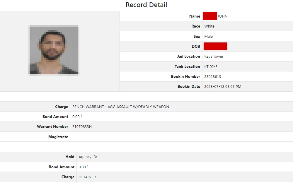 A screenshot of the result from an inmate search in the Dallas County Jail Lookup System shows an offender's details, including mugshots, full name, race, sex, DOB, jail, and offense information.