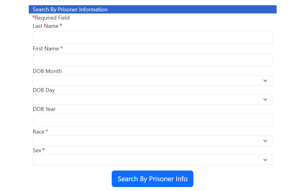 A screenshot showing the Dallas County Jail Lookup System displays its required fields (marked by the small red box) which include the prisoner's last and first name, race, and sex; the searcher can also include the DOB for a more precise search.
